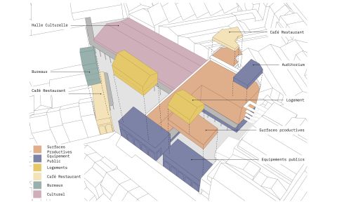 MAN MP EH ORAL 01   Copie